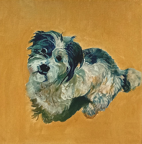 Nacho Amarelo