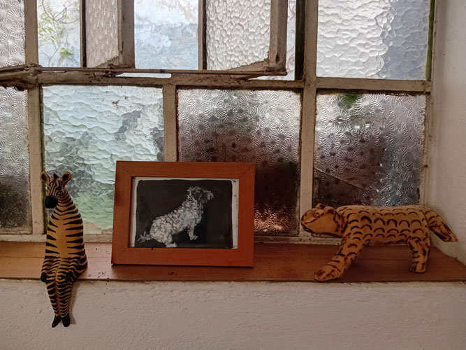 Galeria de bichos