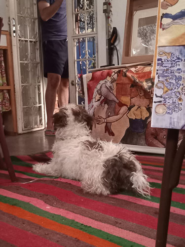 Meu amigo