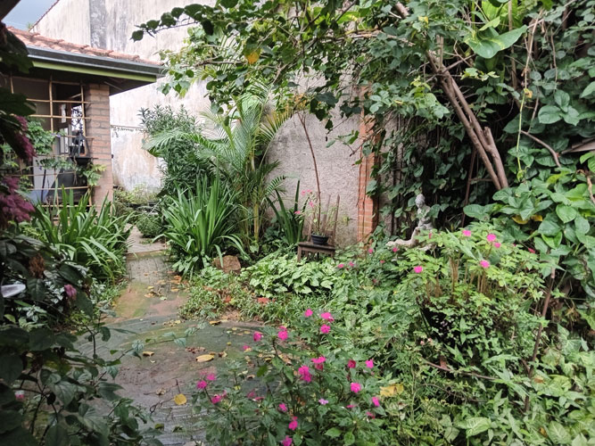 O jardim