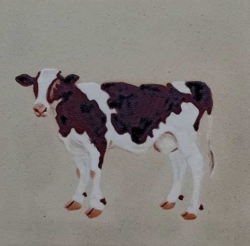 A Vaca