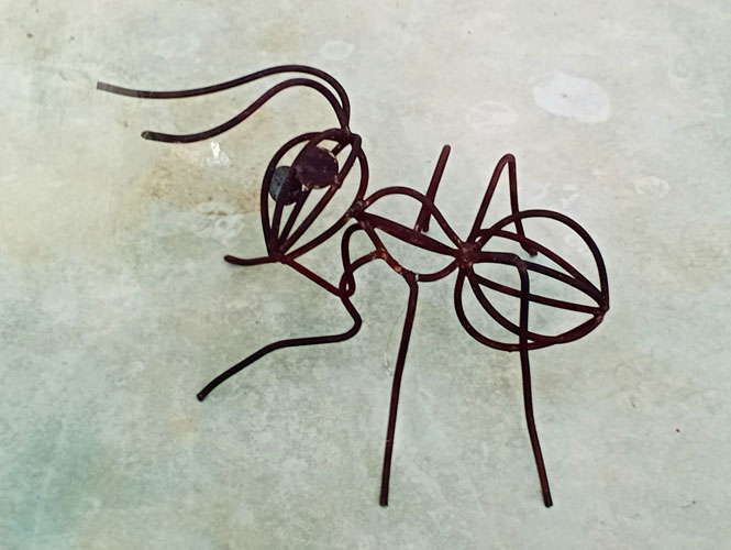 Formiga de ferro